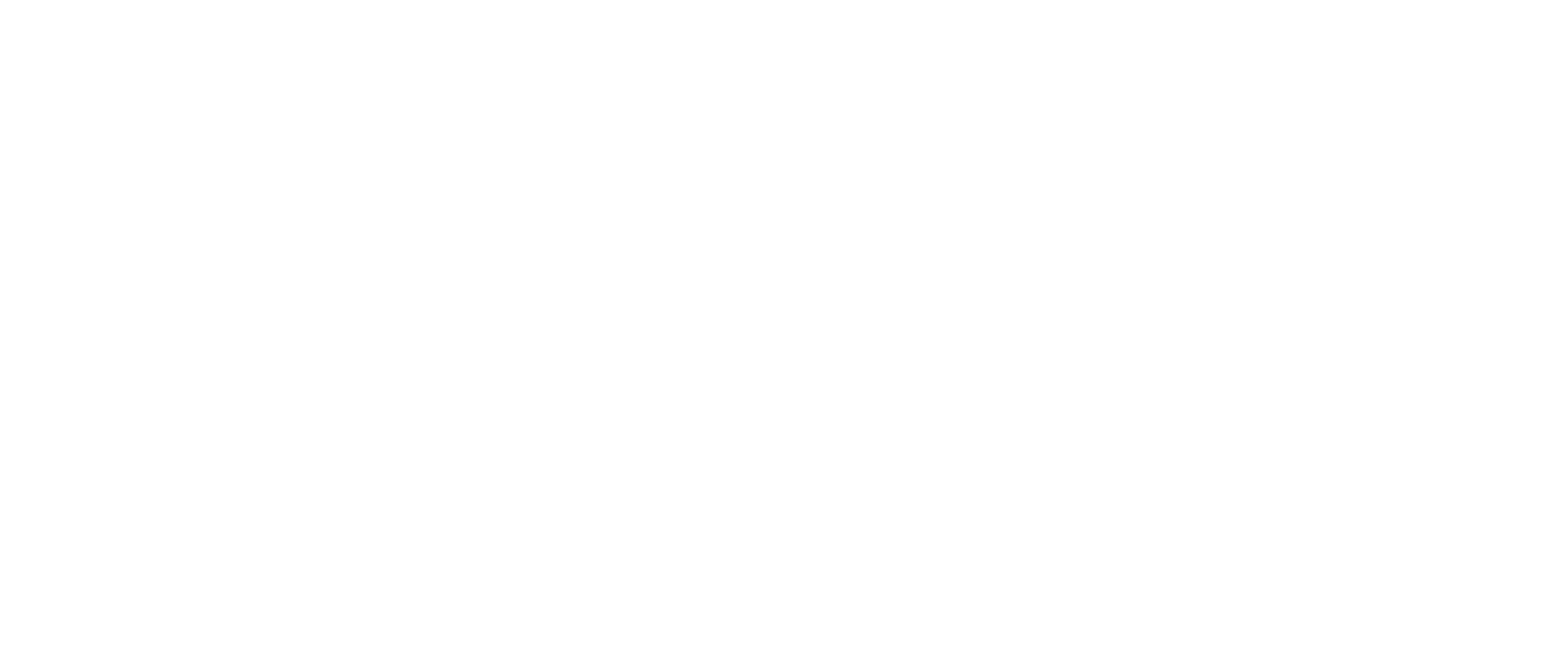 IQ ACADEMY